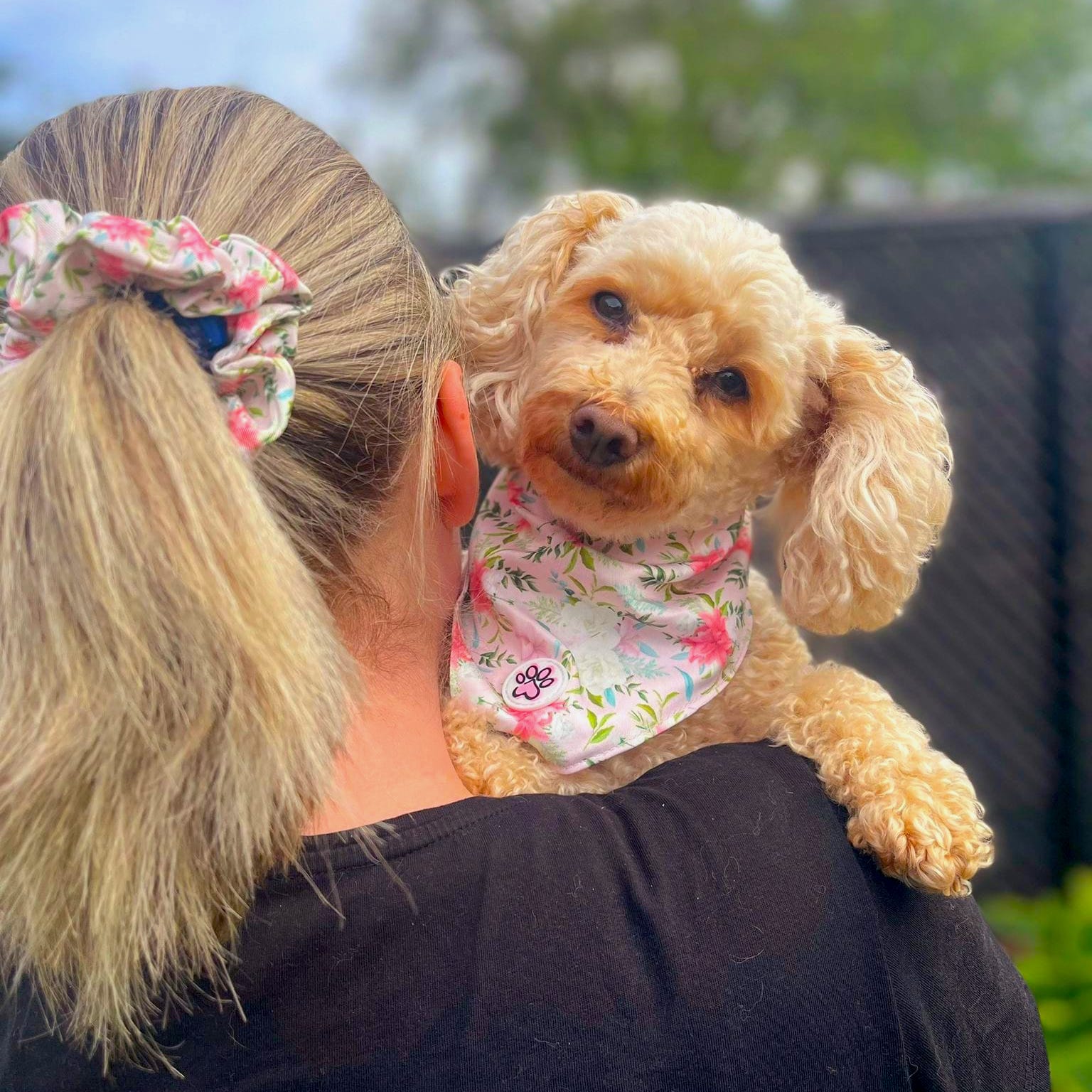 Paw print cheap scrunchie