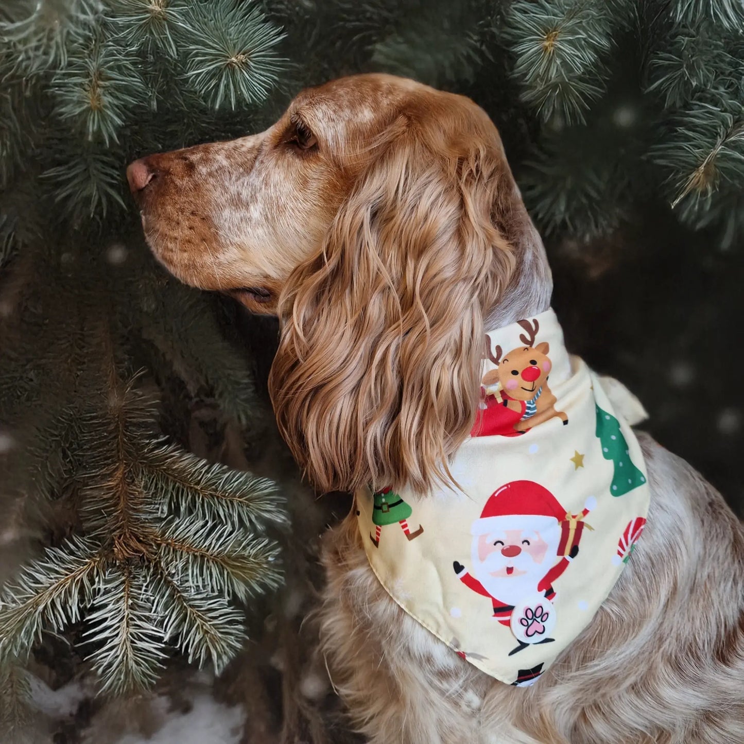 Cuddly Christmas Bandana Picture