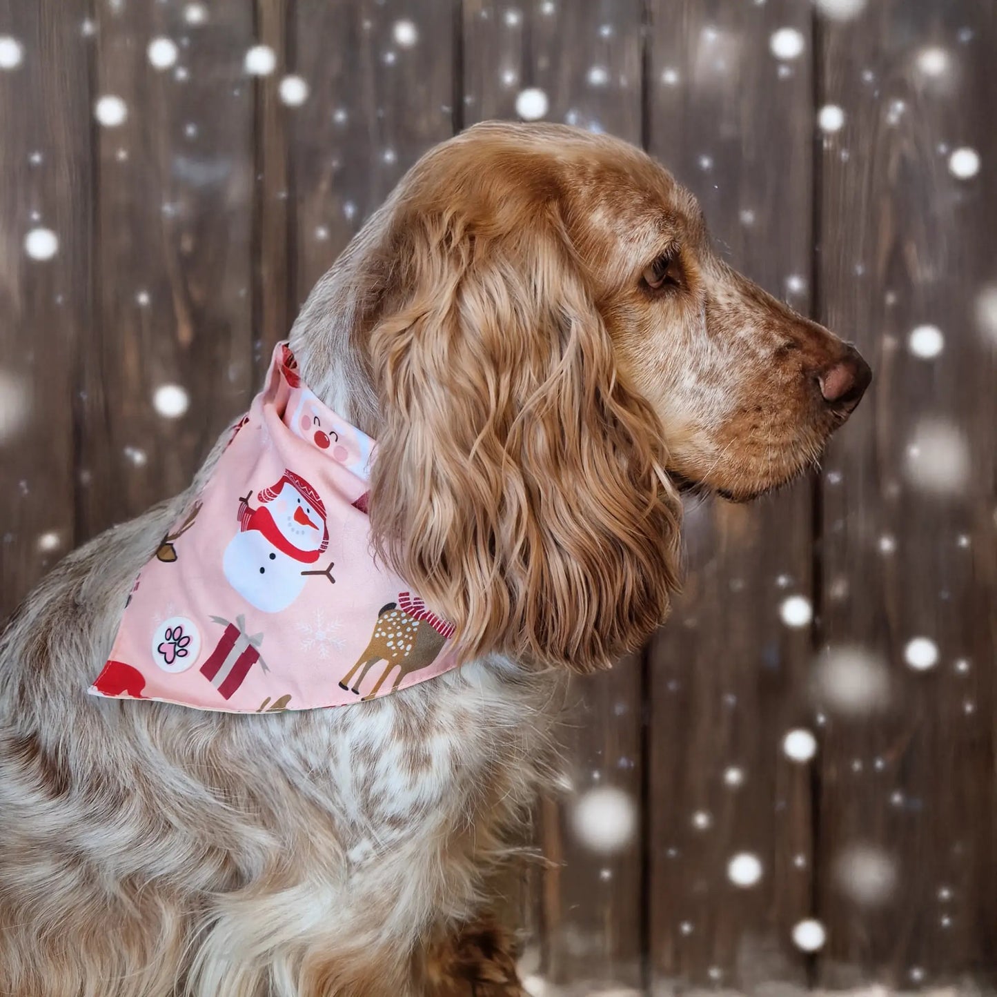 Cuddly Christmas Bandana Picture