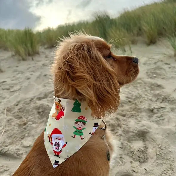 Cuddly Christmas Bandana Picture