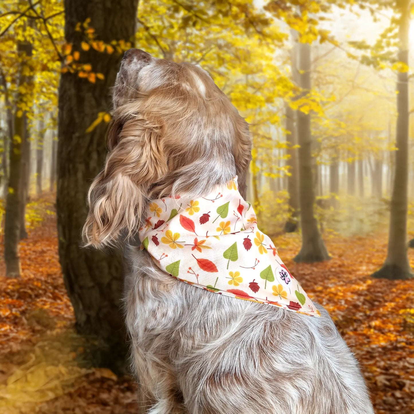 Fall in Love Bandana Picture