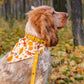 Fall in Love Bandana Picture