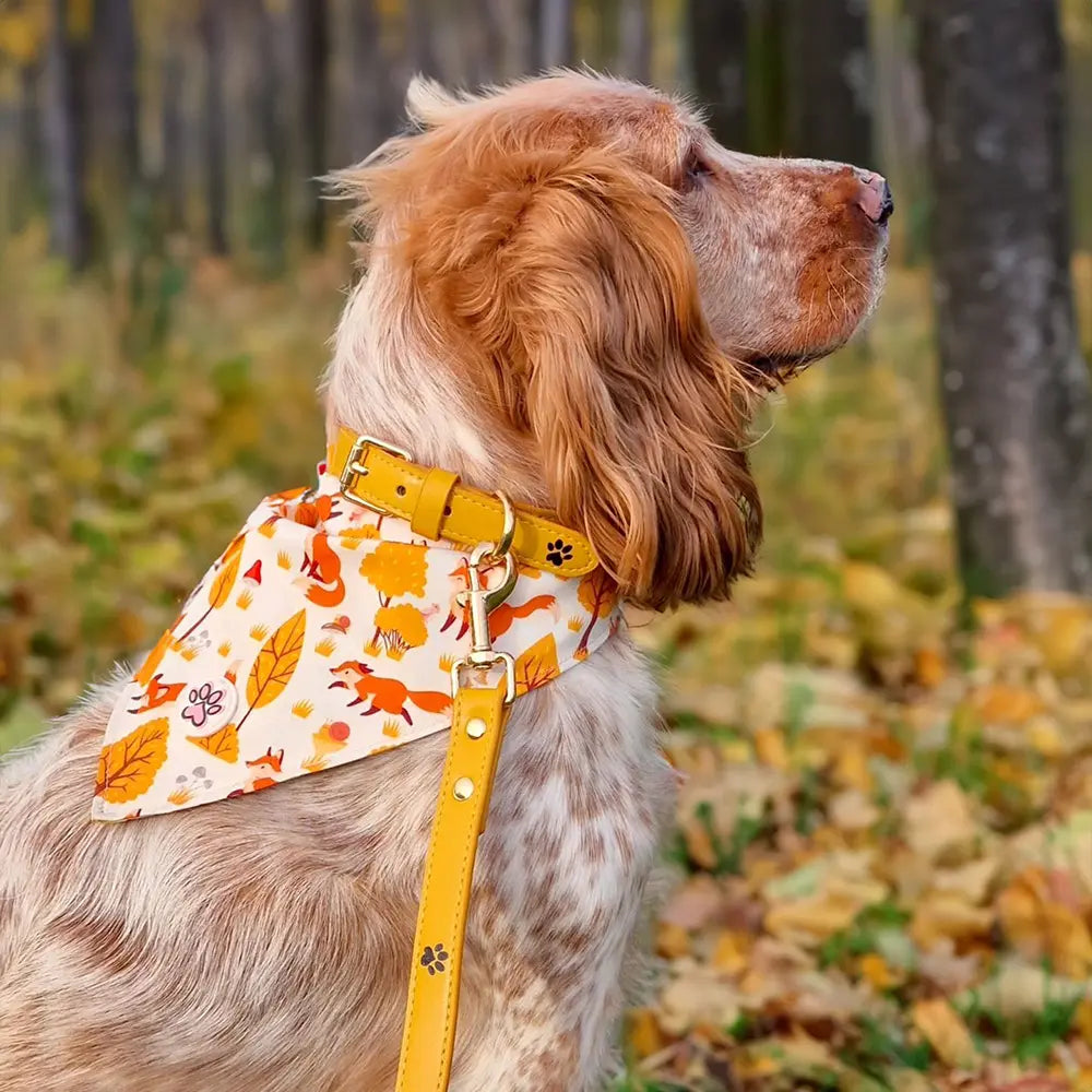 Fall in Love Bandana Picture