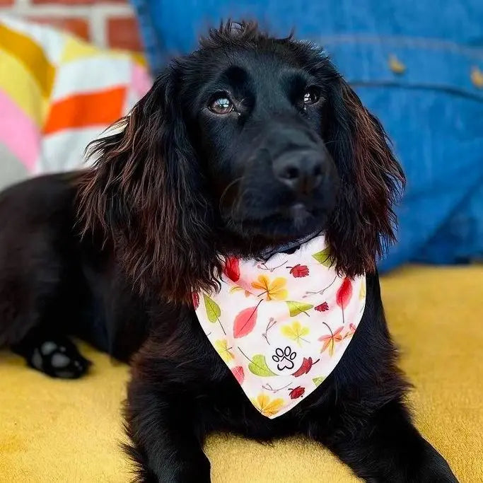 Fall in Love Bandana Picture