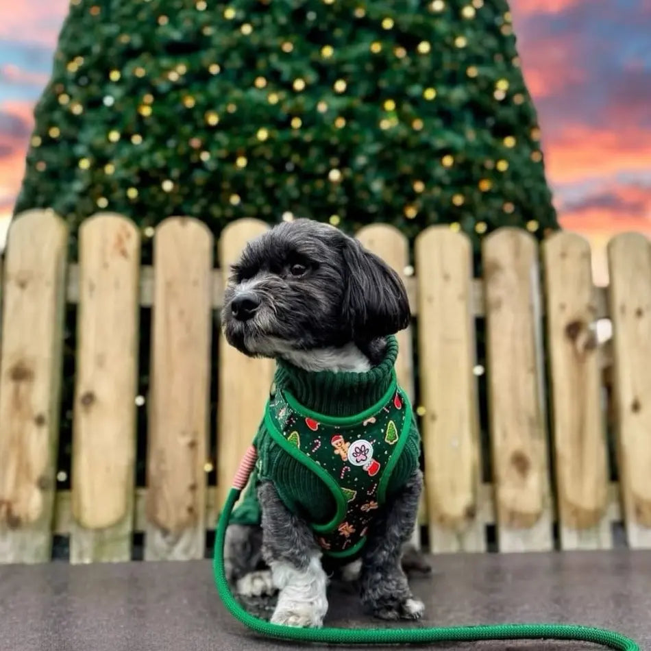 Howliday Crumbles Harness Picture