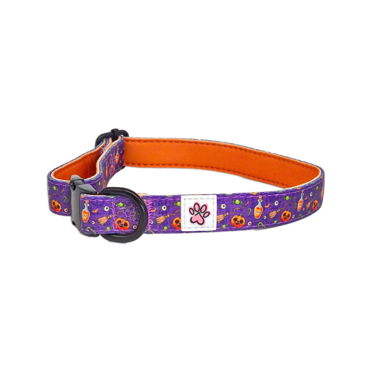 Pumpkin Pooch Parade Cloth Collar