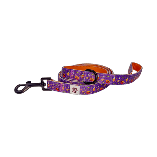 Pumpkin Pooch Parade Cloth Leash