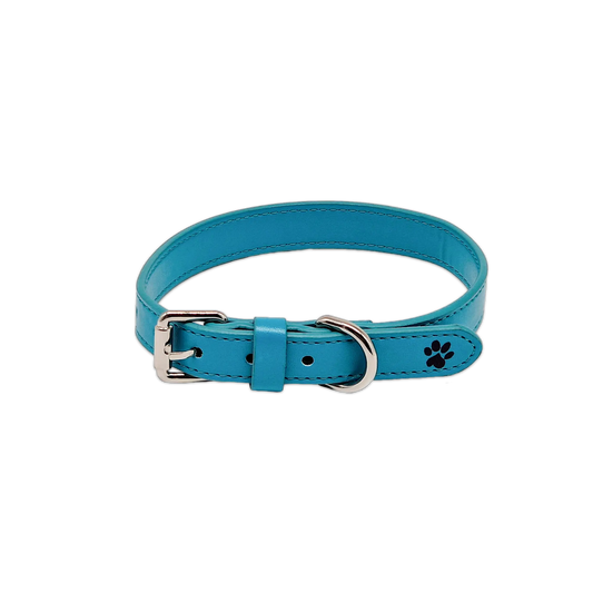 Twinkly Turquoise Leather Collar