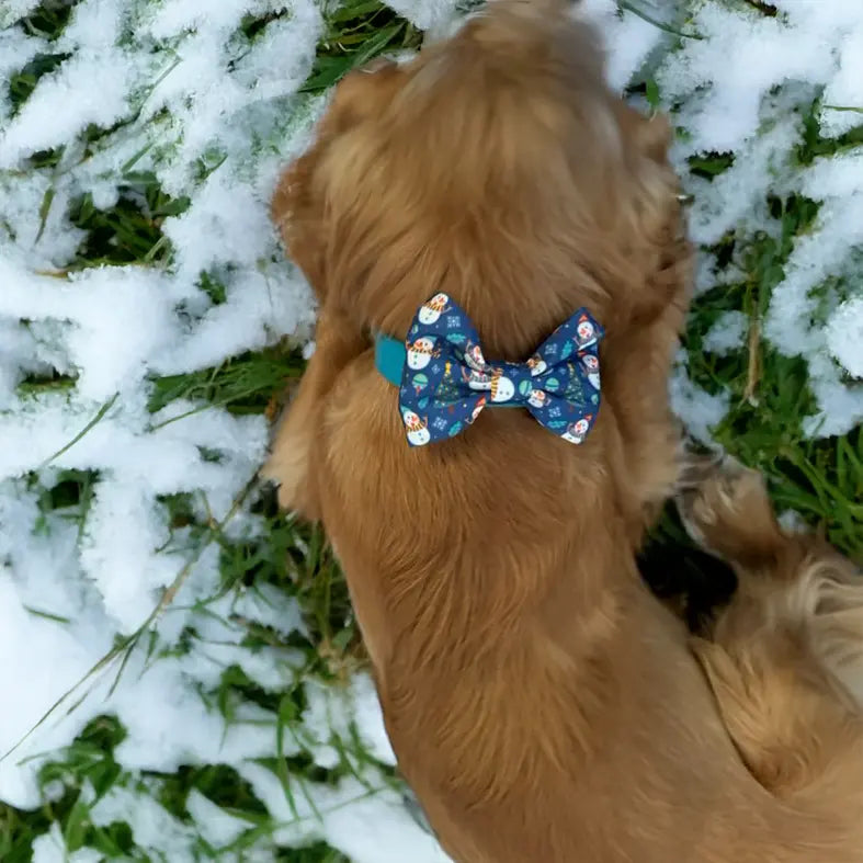 Winter Wiggling Bow Tie Picture