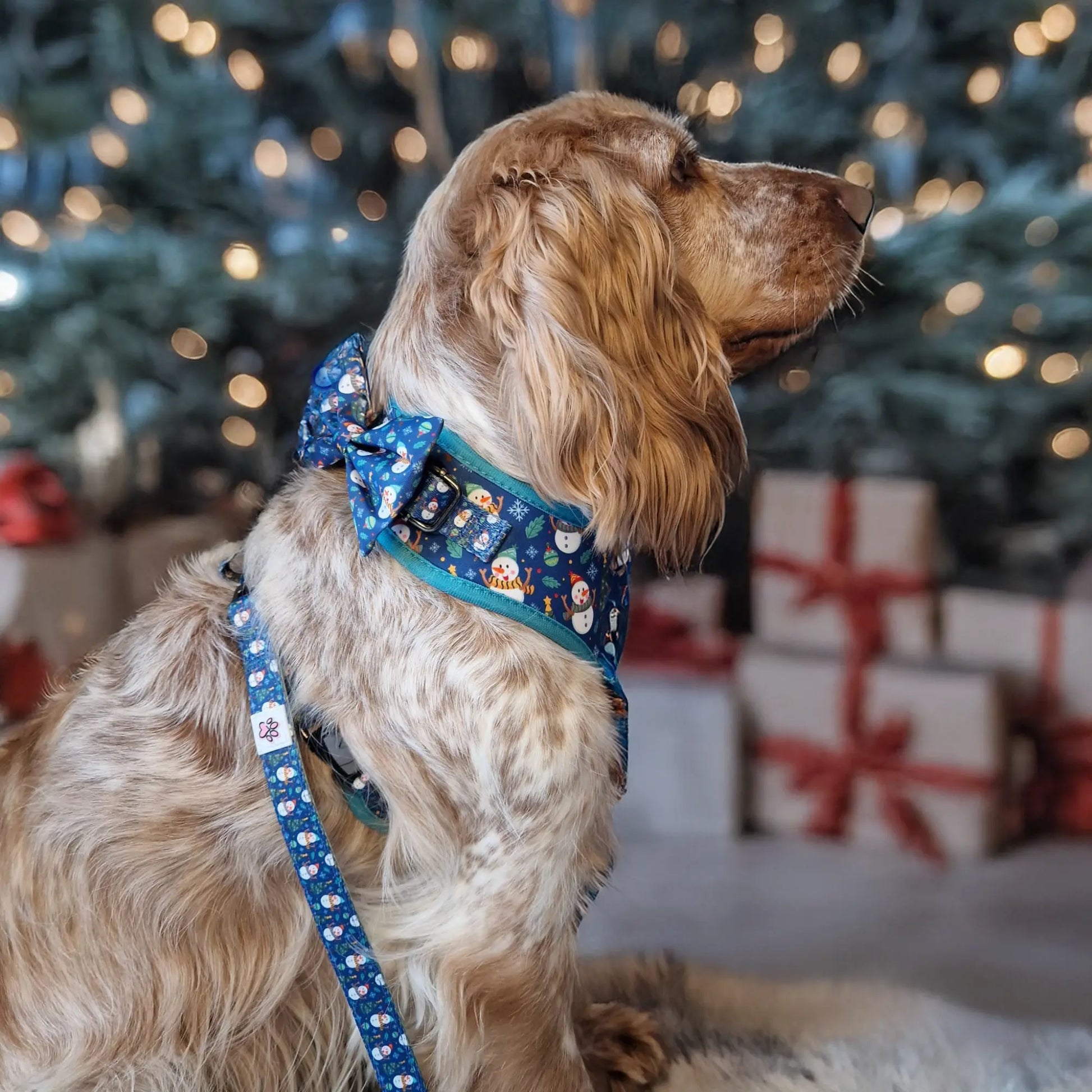 Winter Wiggling Bow Tie Picture